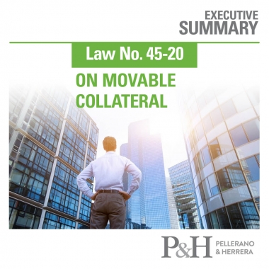 Law No. 45-20 on Movable Collateral