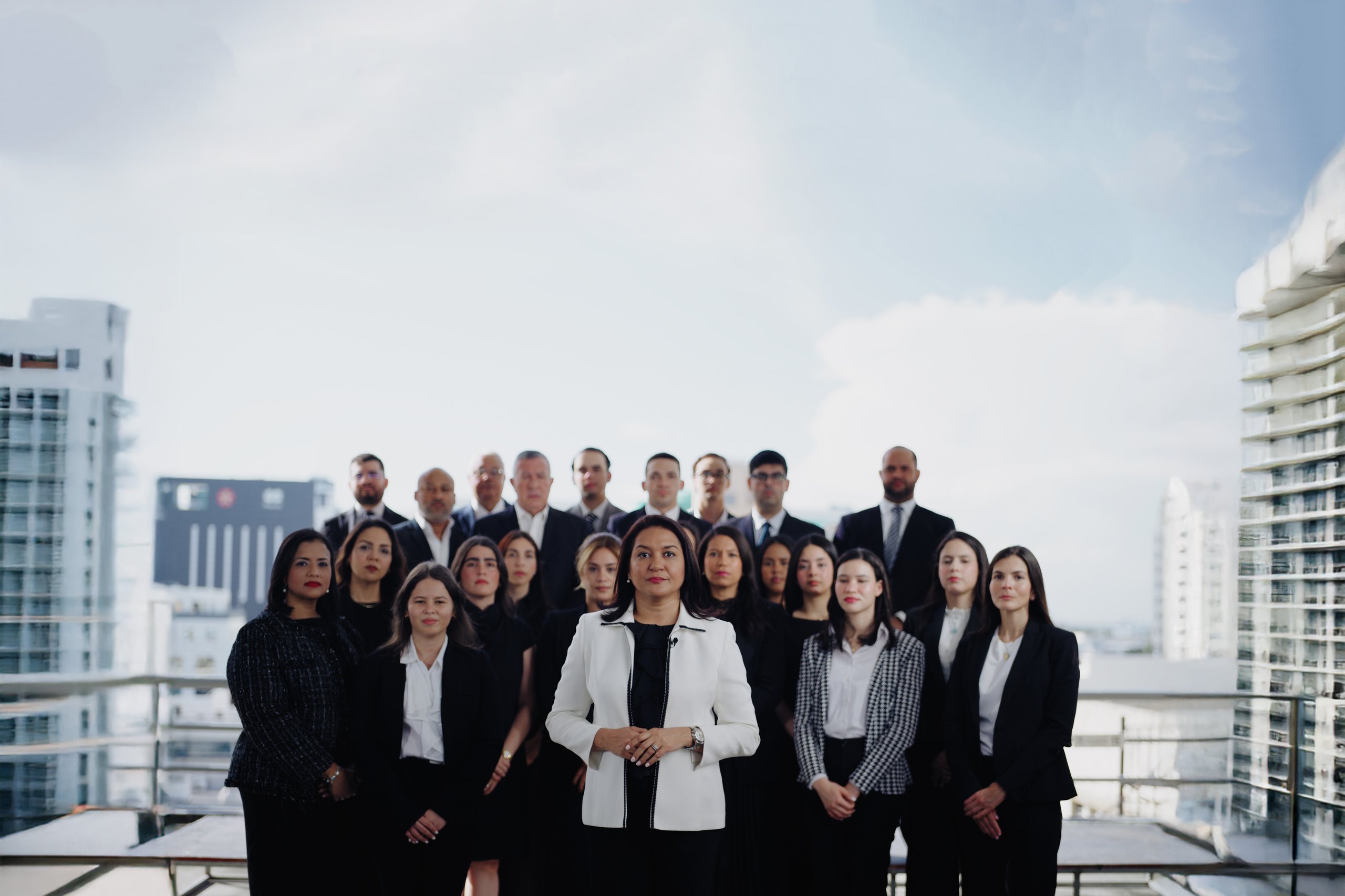 Ricardo Antonio Pellerano and Pellerano and Herrera Law Team